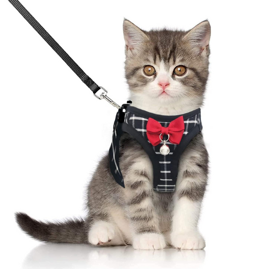 Tuxedo Pet Harness