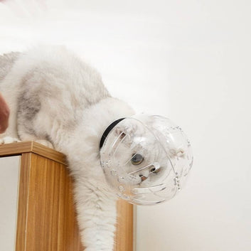 MuzzleBubble - Anti-Bite Grooming Dome