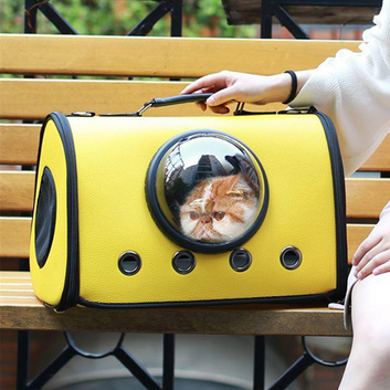 AstroPod Pet Carrier