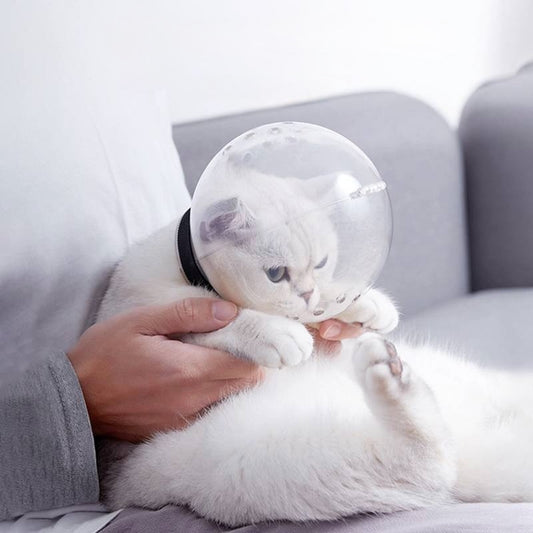 MuzzleBubble - Anti-Bite Grooming Dome
