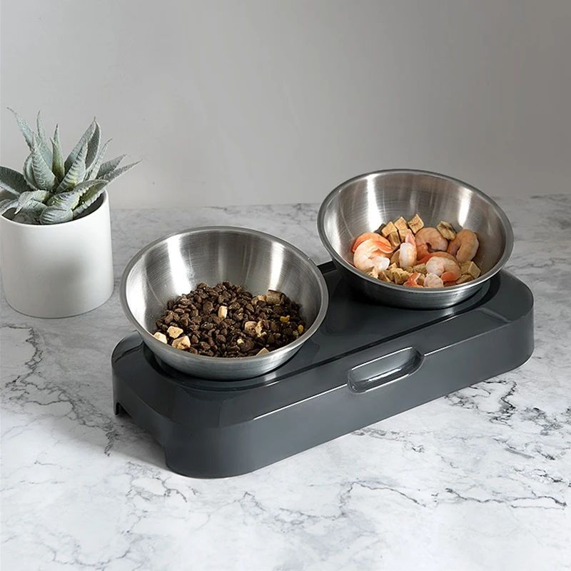 ElevateFeast Double Pet Bowl