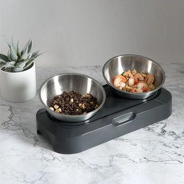 ElevateFeast Double Pet Bowl