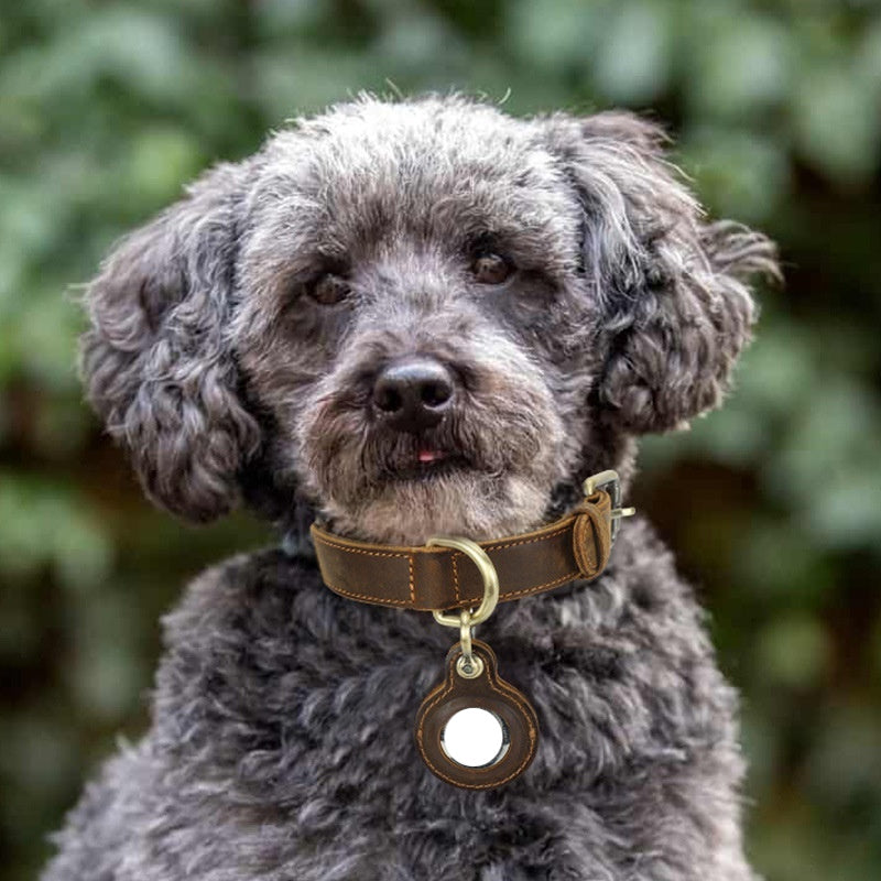 Heritage Leather AirTag Dog Collar